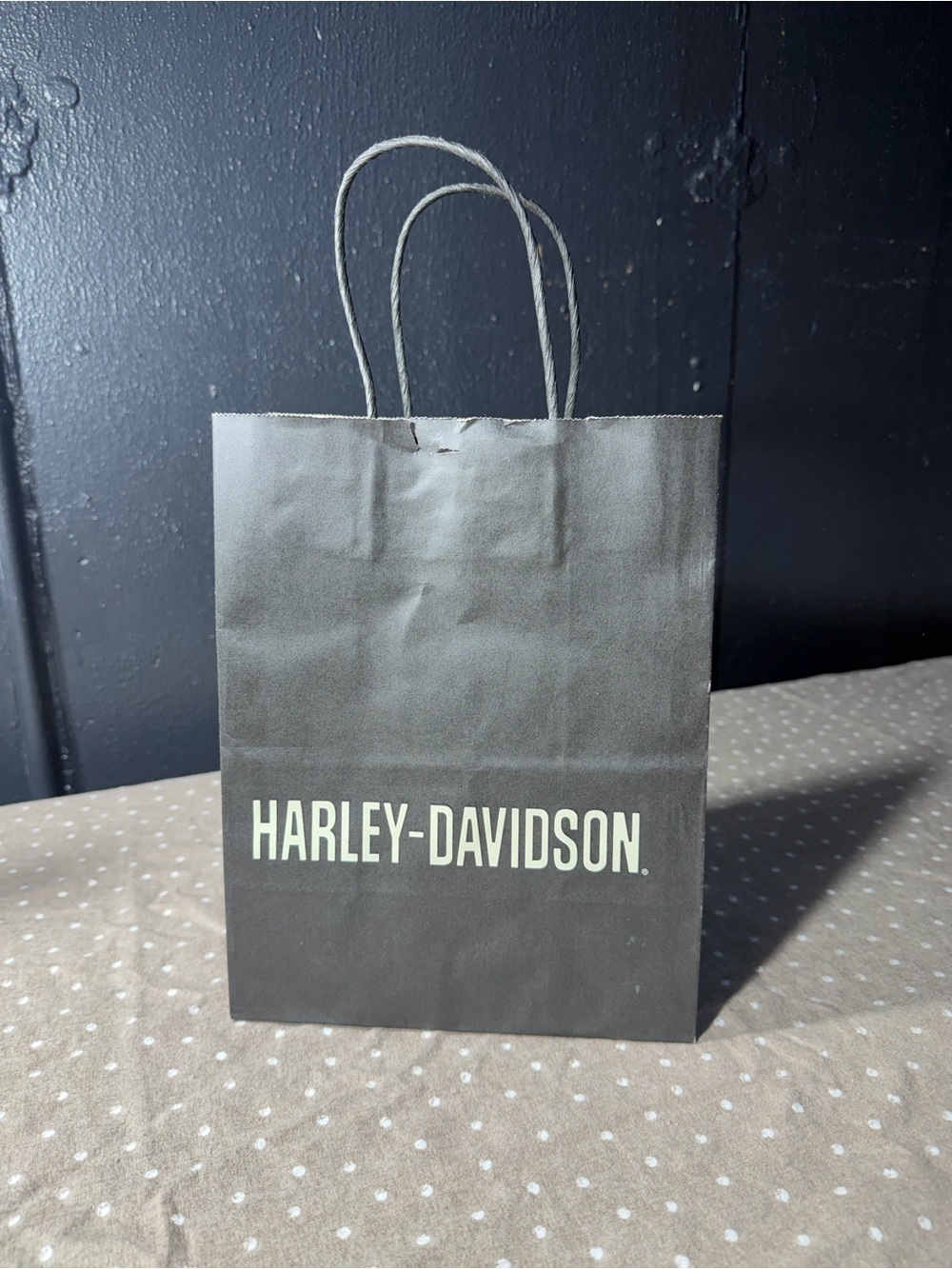 Harley-Davidson Black Paper Gift Bag with White Logo